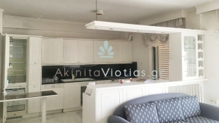 ΕΝΟΙΚΙΑΖΕΤΑΙ ΔΙΑΜΕΡΙΣΜΑ ΣΤΗ ΛΙΒΑΔΕΙΑ