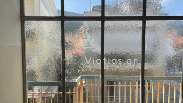 image8.jpeg