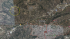020.png
