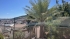 image00024.jpeg