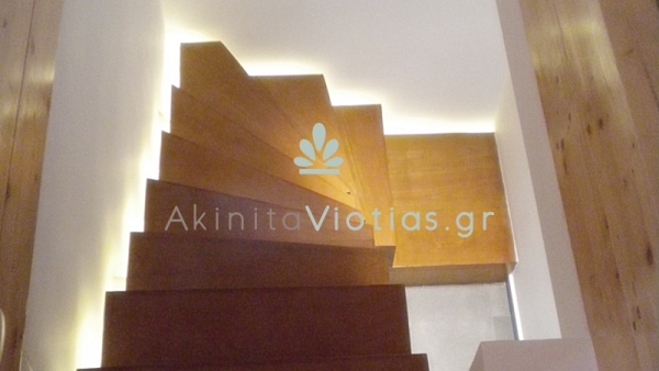 image00001.jpeg