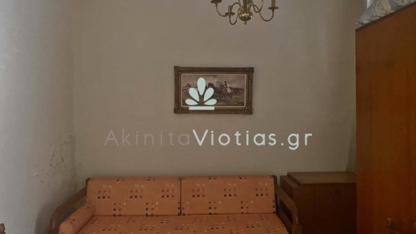 6d2c332e-72a0-4e44-9669-6c0a638a89c1.jpg